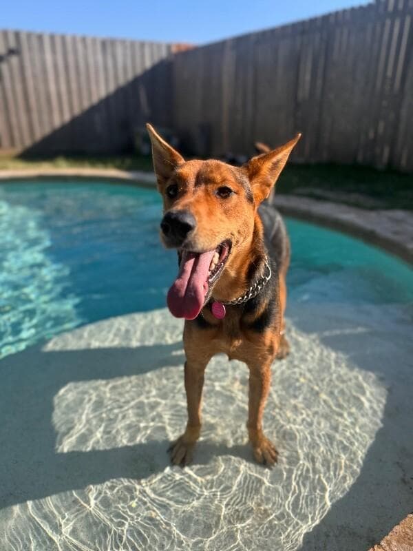 Becca Boo Loves Bigger than her EARS media 4