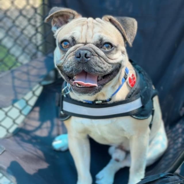 Walter A2278157 media 2
