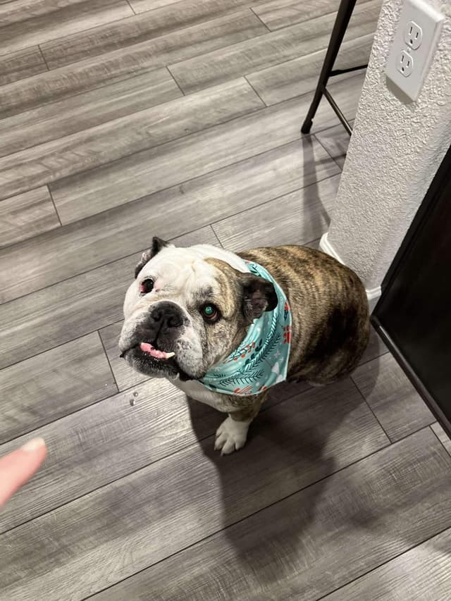 Chloe media 2
