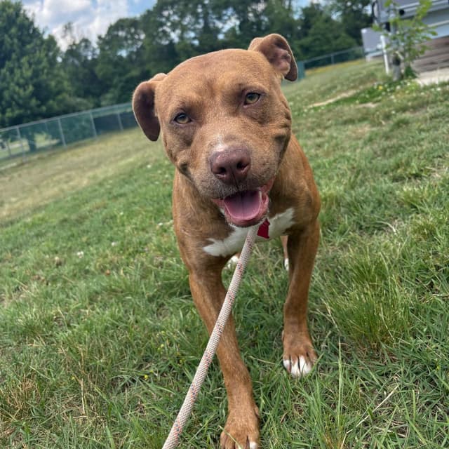 Marvin (In Foster) media 4