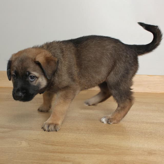 Nami D69279 media 5