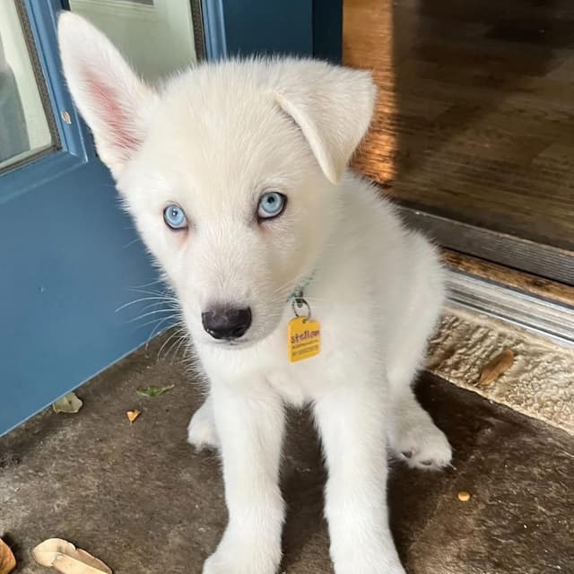 Xavier media 2