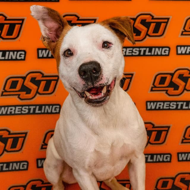 Wyatt Hendrickson media 5