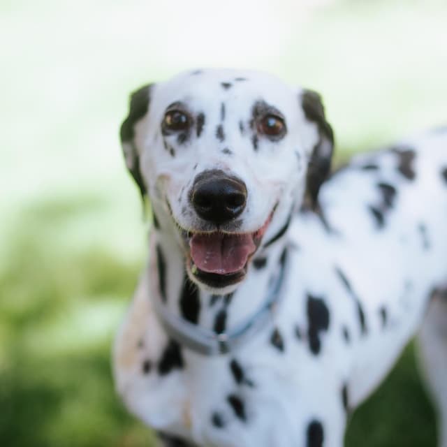 Kendra media 5