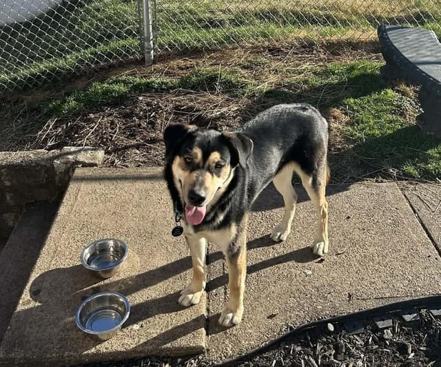 Blitz media 6