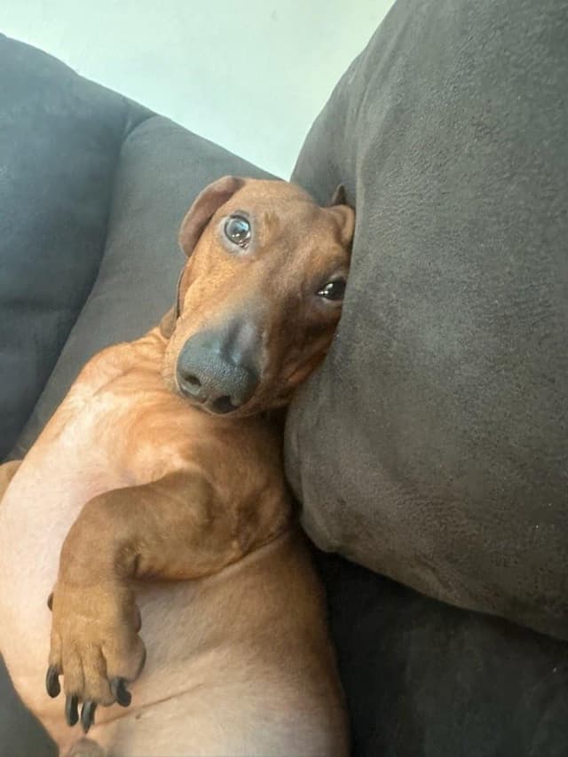 Rusty media 3