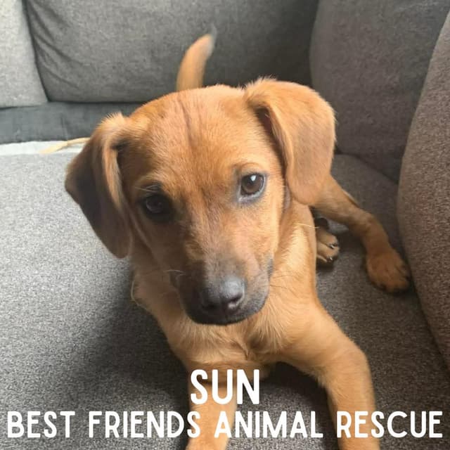 Sun media 2