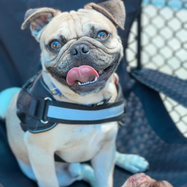 Walter A2278157 media 5