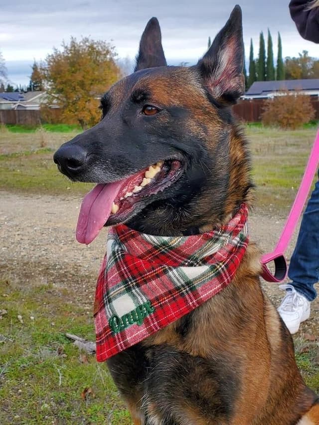 Onyx - Located in WA media 5