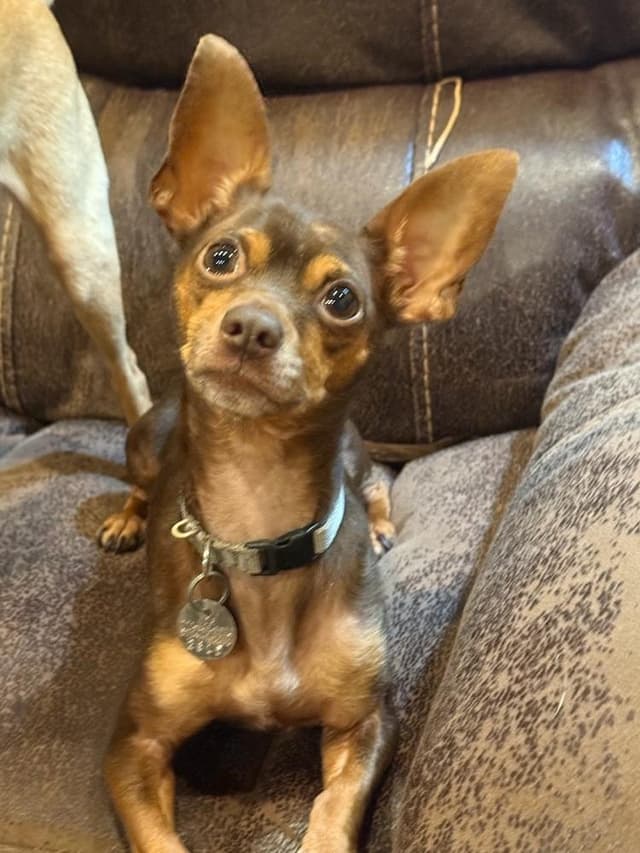 Finnegan media 2