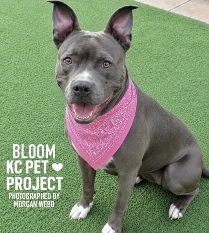 Bloom media 3