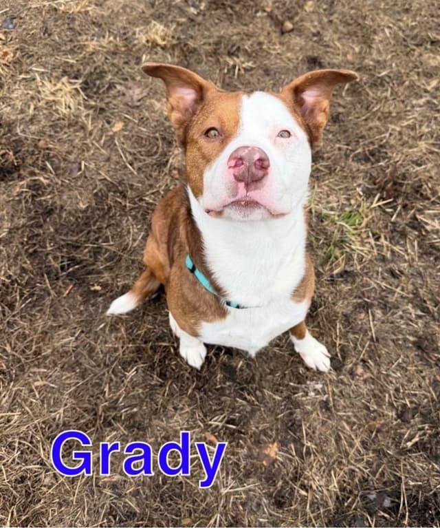 GRADY media 2