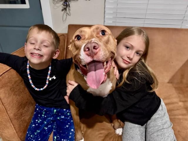 Blinky Baby loves the babies and belly rubs media 2