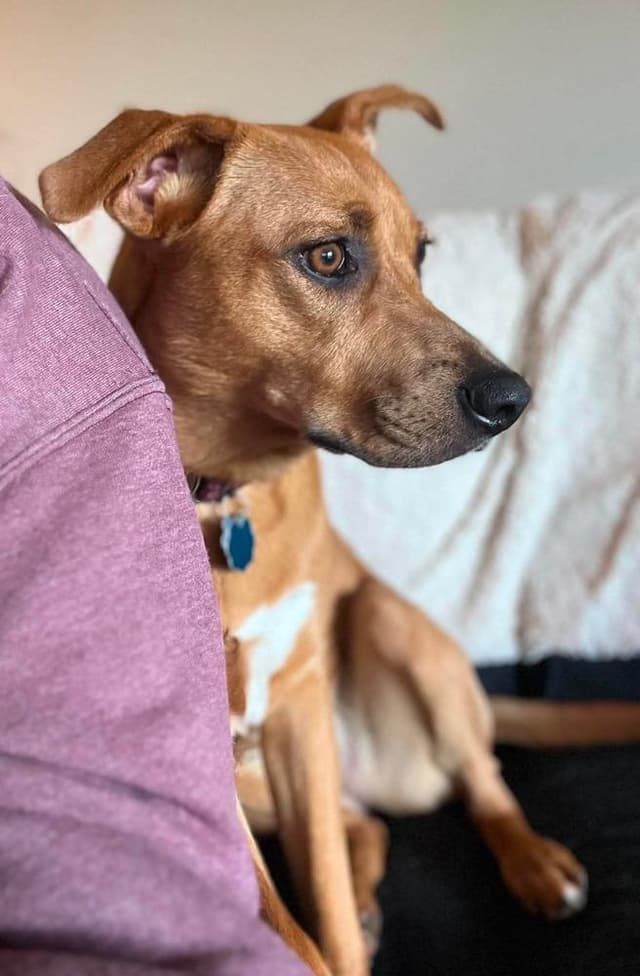 Zoey media 5