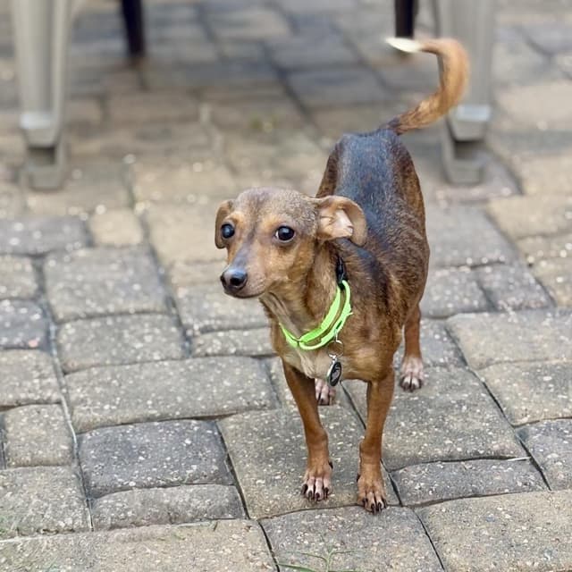 Jasmine *Arriving 7/11* D11679 media 3