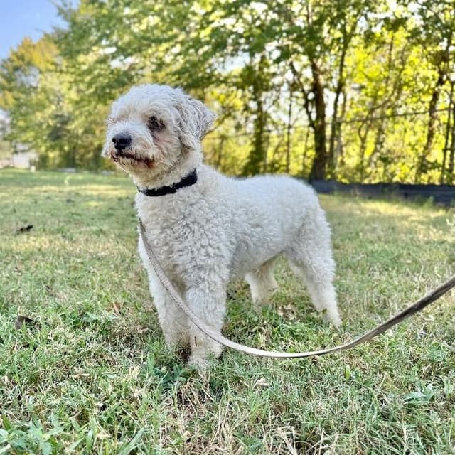 Bailey media 3