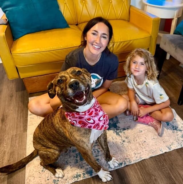 Marley Mae the Brindle Belle Beauty media 2