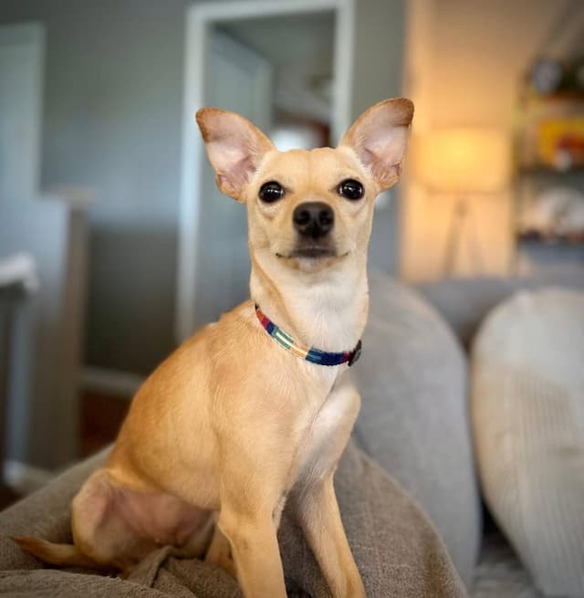 Rosita aka Rosie media 2