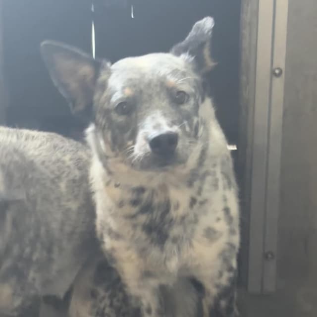 Calhoun A5786029 media 2