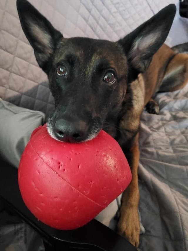 Onyx - Located in WA media 4