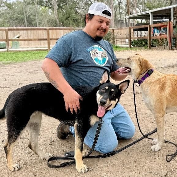 Lentil Lou The Loving Little Shepherd media 5
