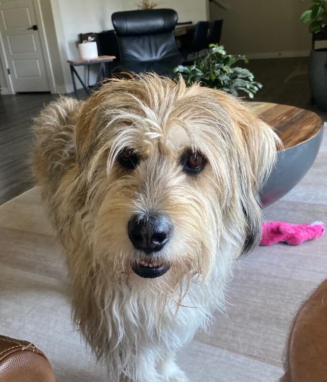Marley aka Jack media 4