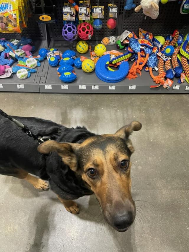 Dutchess - CO media 3