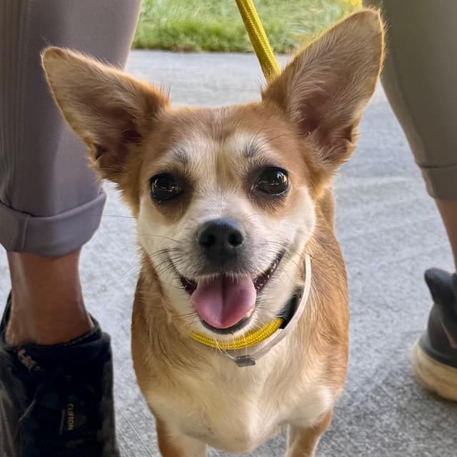 Tilly - Chino Hills Location media 2