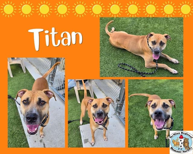 Titan media 2