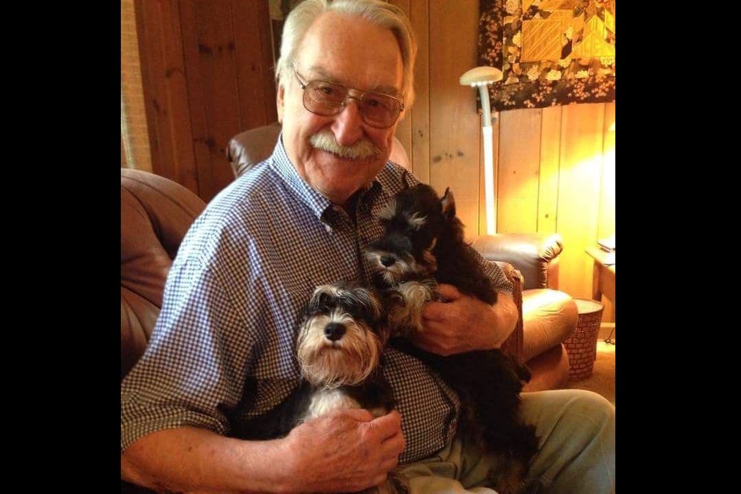 Miniature Schnauzer Puppies breeder image 4