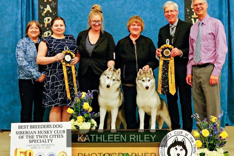 Siberian Husky Puppies breeder image 15