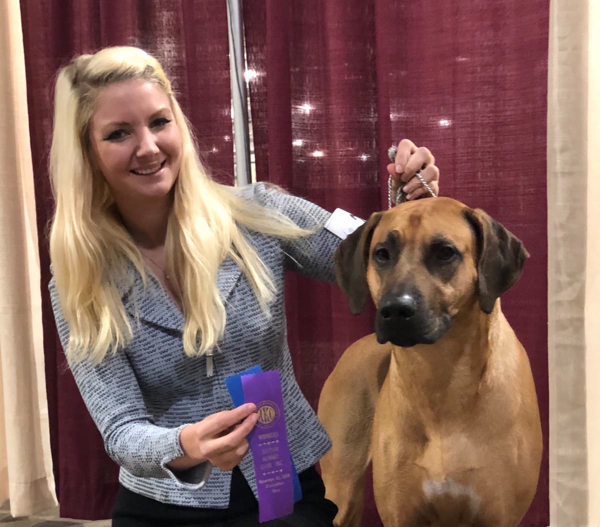 Rhodesian Ridgeback Puppies breeder image 9