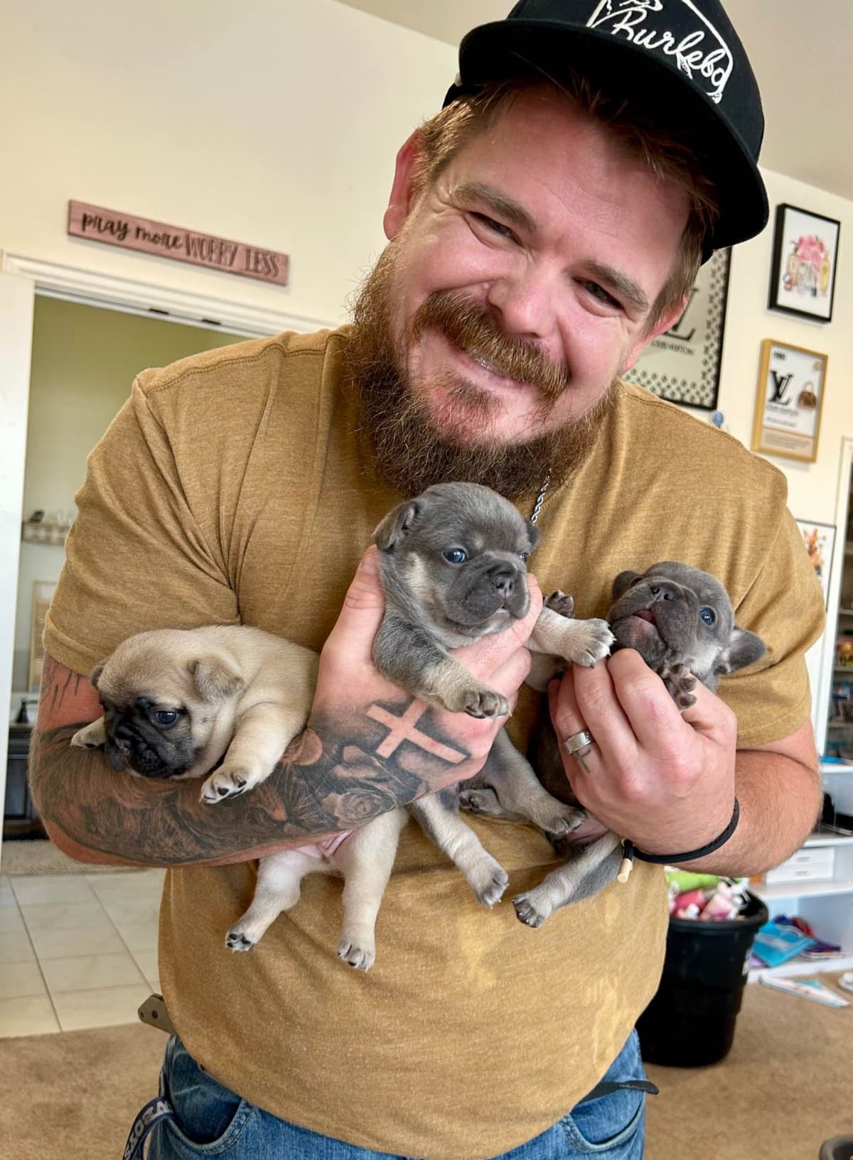 H & H Frenchies - French Bulldog Puppies breeder image 17