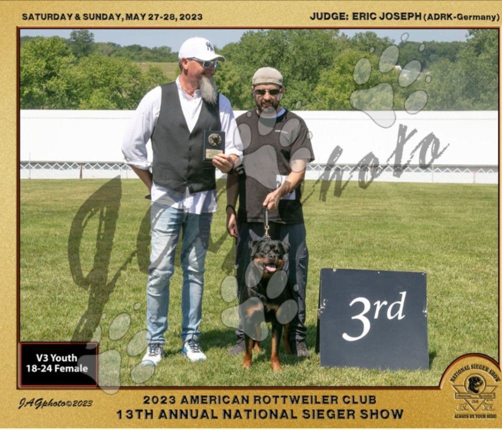 Rottweiler Puppies breeder image 5