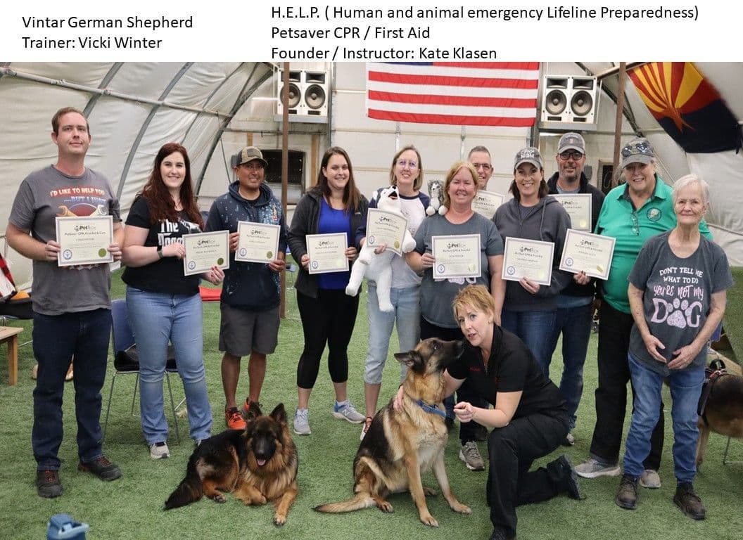 Vintar German Shepherd puppies breeder image 17
