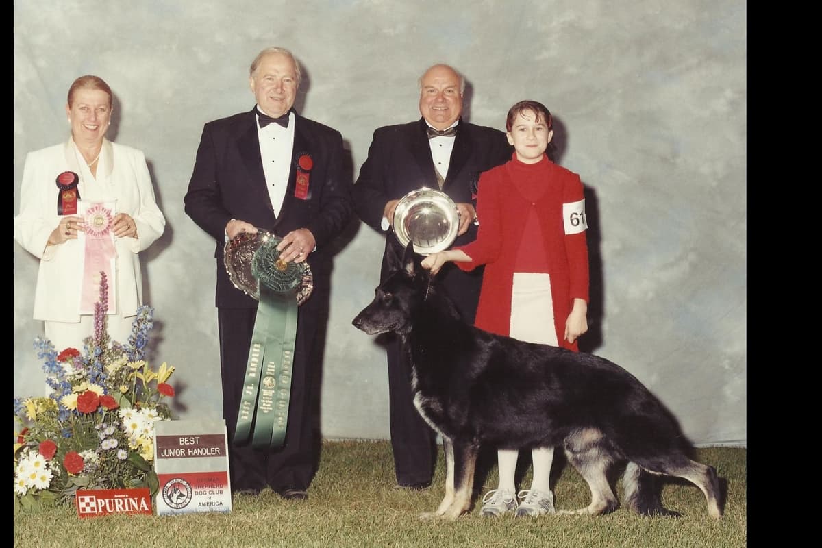 Cardigan Welsh Corgi Puppies breeder image 8