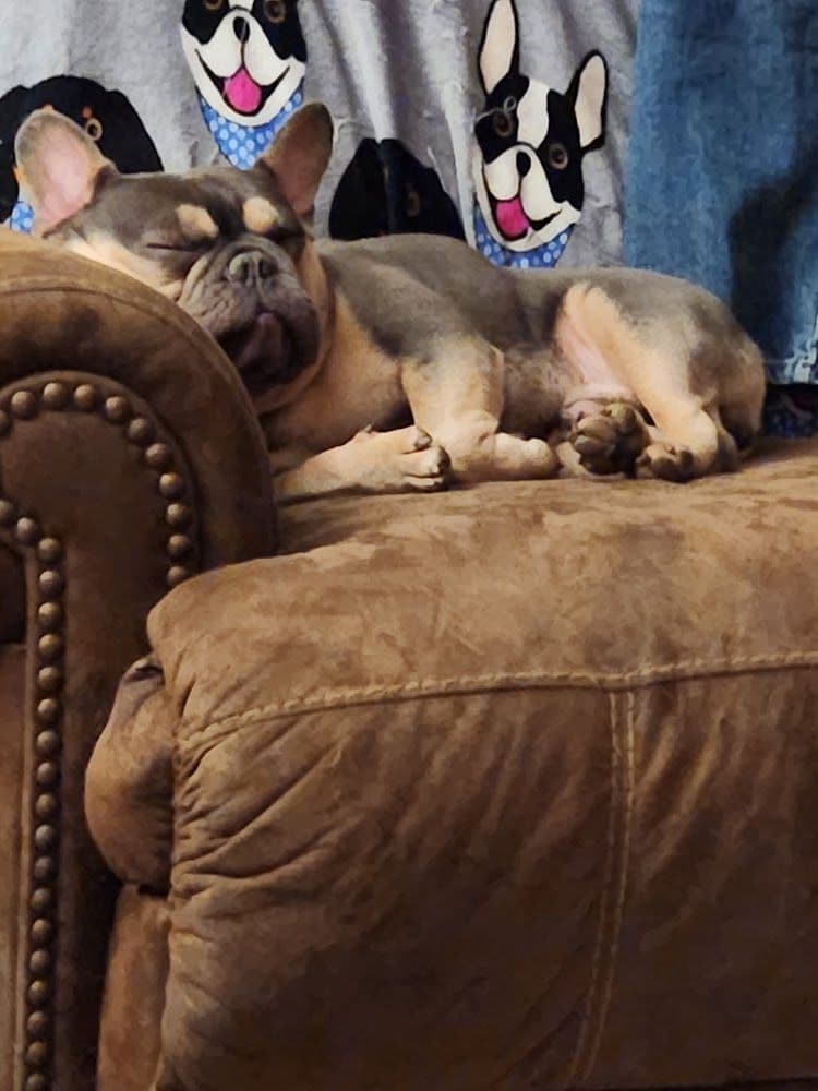 Hank and Willie breeder image 2
