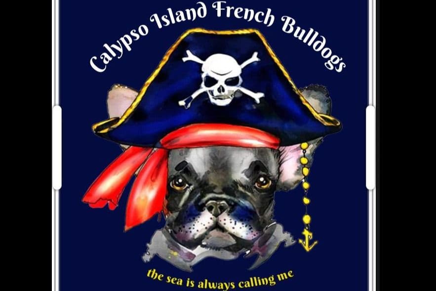 French Bulldog Puppies breeder image 1
