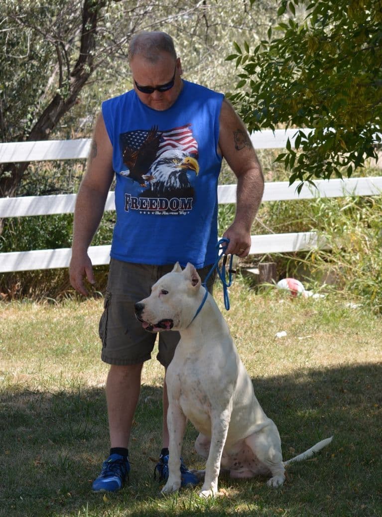 Cane Corso Puppies breeder image 16