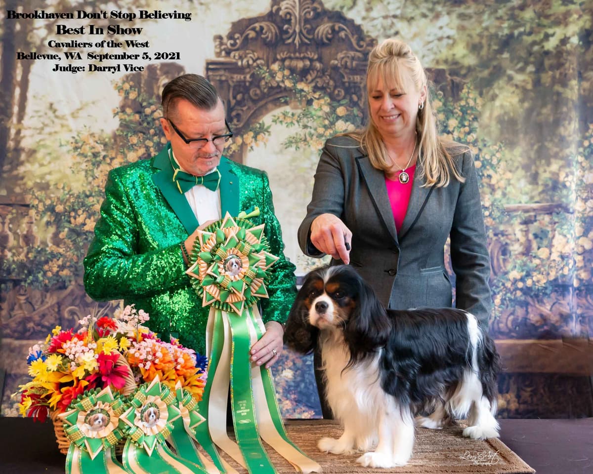 Cavalier King Charles Spaniel Puppies breeder image 2