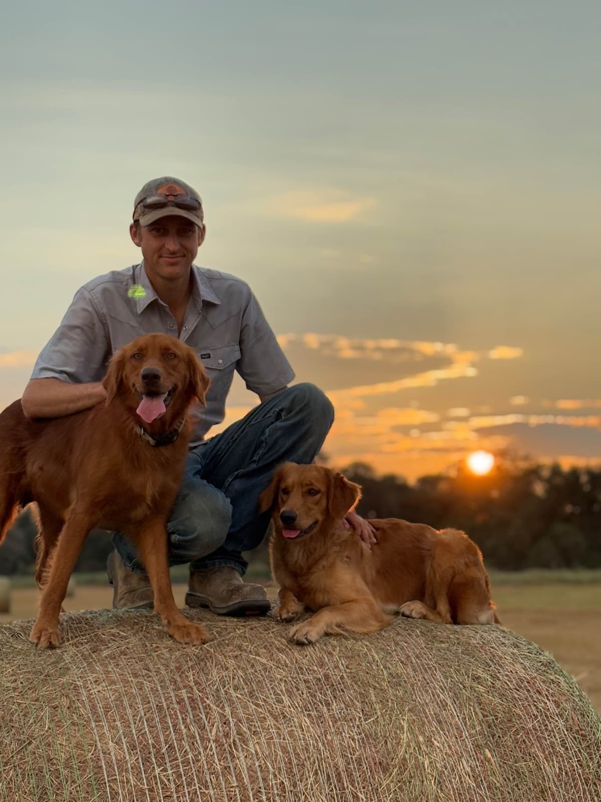 Golden Retriever Puppies breeder image 2