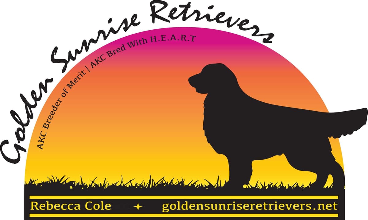 Golden Retriever Puppies breeder image 1