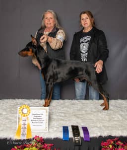 Alvaro Dobermans and Hocking Hills Irish Wolfhounds