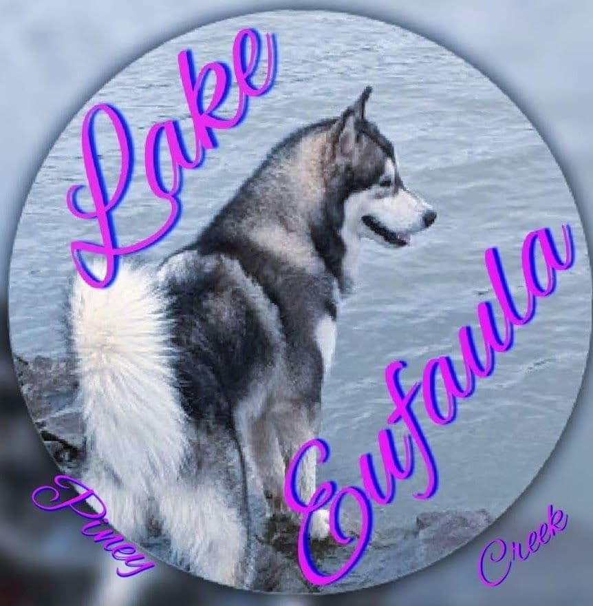 Alaskan Malamute Puppies breeder image 2