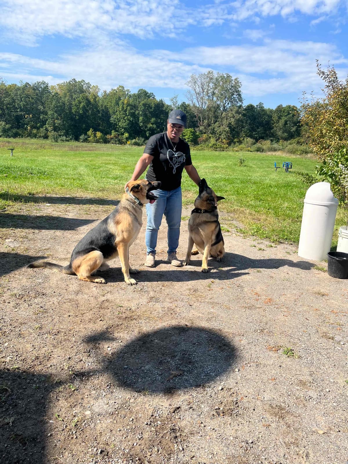 German Shepherd Dog Puppies breeder image 3
