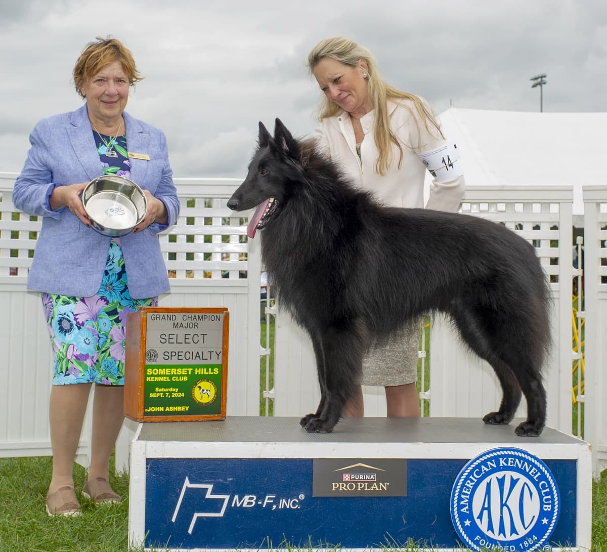 Belgian Sheepdog Puppies breeder image 8