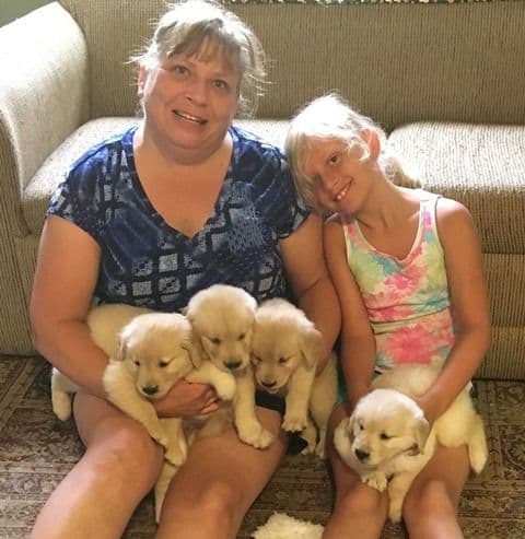 Golden Retriever Puppies breeder image 3