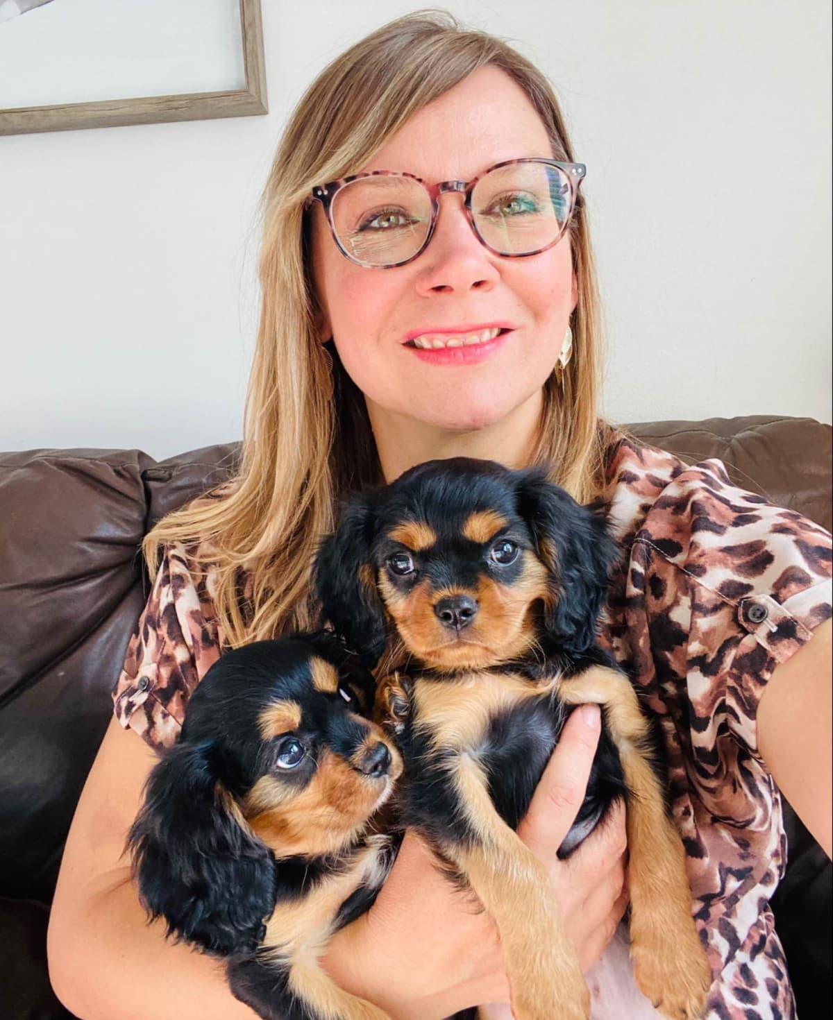Chocolate Cavalier King Charles Spaniel Puppies breeder image 4