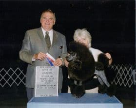 Poodle Puppies breeder image 7