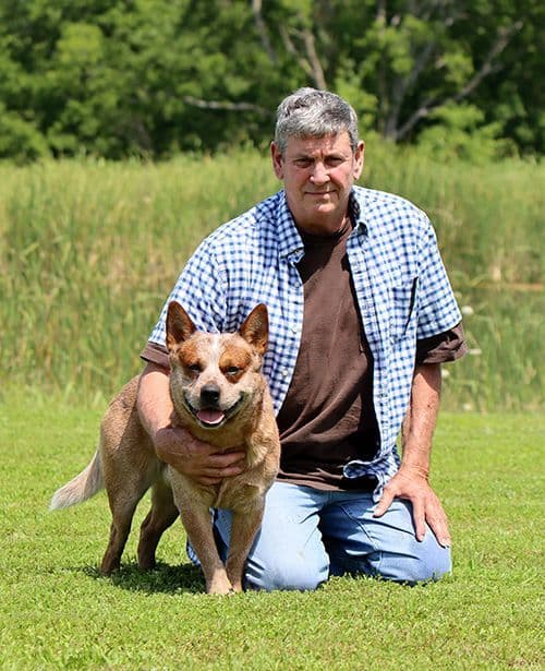 Australian Cattle Dog Puppies breeder image 1